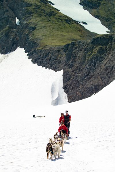 Snow and sled dogs in summer atop a glacier near Girdwood, Alaska