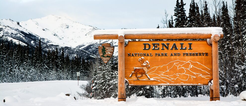 Arriving in Denali on a winter morning. Arriving in Denali on a winter morning.