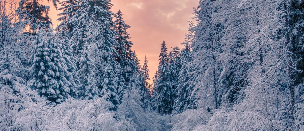 Winter sunset on Montana Creek in Alaska.