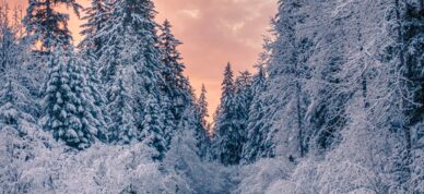 Winter sunset on Montana Creek in Alaska.