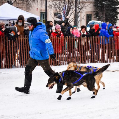 Sled dog team pulls to the start line of the Iditarod. Sled dog team pulls to the start line of the Iditarod.