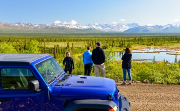 Watching for wildlife in the Denali Park area.