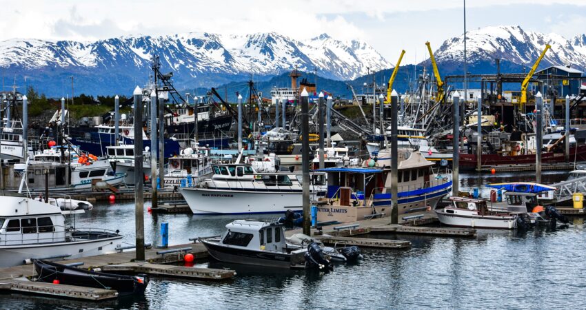 Boats of all shapes and sizes in the Homer Harbor.