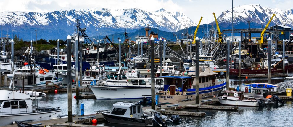 Boats of all shapes and sizes in the Homer Harbor.
