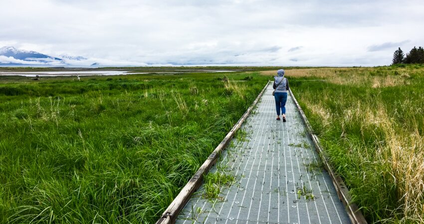Walking the slough behind the Islands & Ocean Visitor Center in Homer.