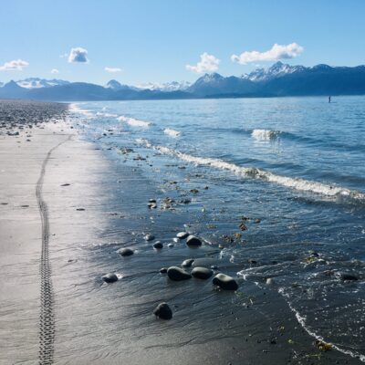 Heading to Homer, enjoy beach time on the Homer Spit.