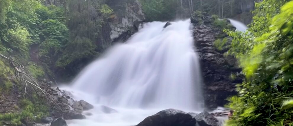 Flora & Fauna Nature Walk | Anchorage Hiking | AlaskaTravel.com