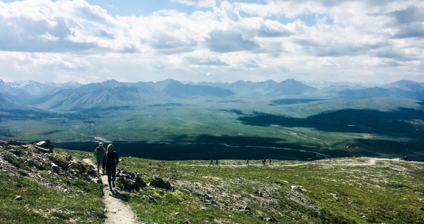 Reaching the top of the Savage Alpine Loop Trail in Denali National Park.