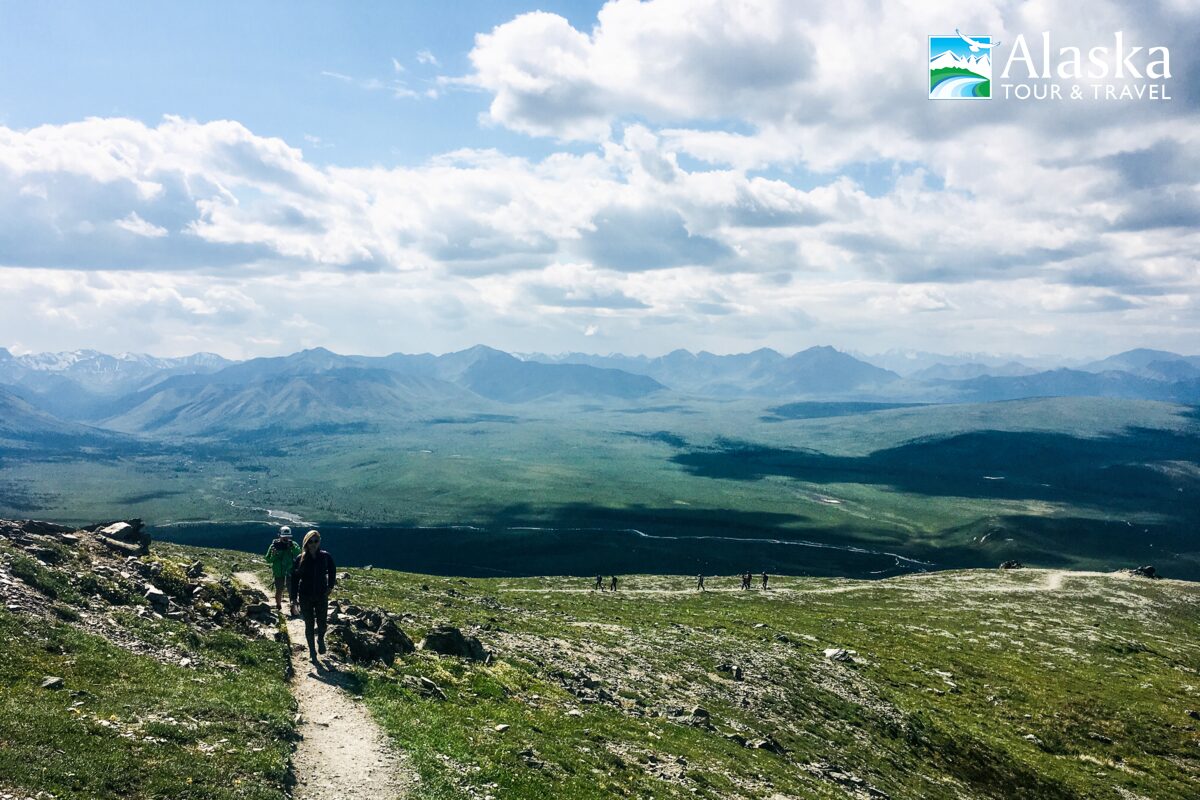 Top 5 Denali Park Hikes for Visitors