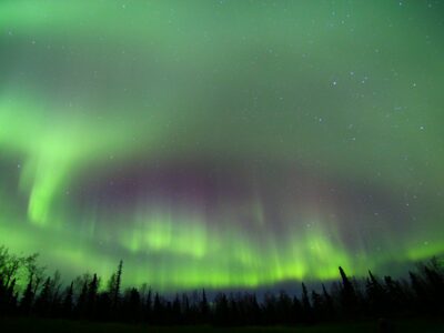 Northern lights dancing above Chena Hot Springs.