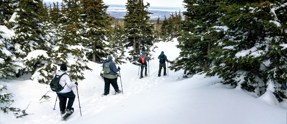 Trekking through fresh powder on a guided snowshoe hike.