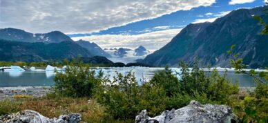 Epic view of Grewingk Glacier.
