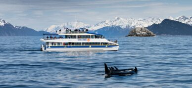 Good day to be on the water in Kenai Fjords.