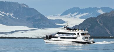 Cruising in view of Bear Glacier in Resurrection Bay.