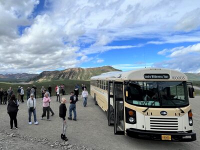 Popular stop below Sable Pass in Denali National Park.