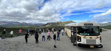 Popular stop below Sable Pass in Denali National Park.