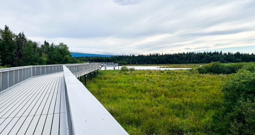 Boardwalk Trail at Brooks Camp in Katmai National Park.