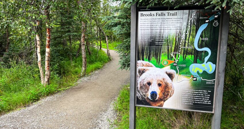 Start of Brooks Falls Trail in Katmai National Park.