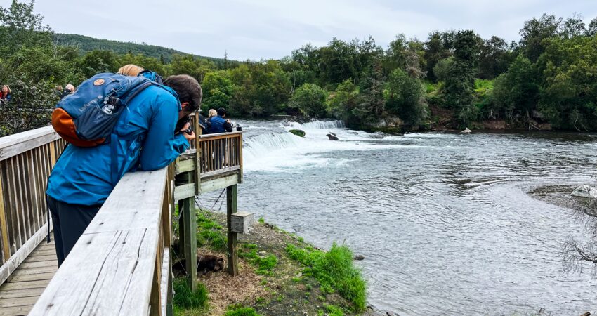 Falls Platform at Katmai National Park.