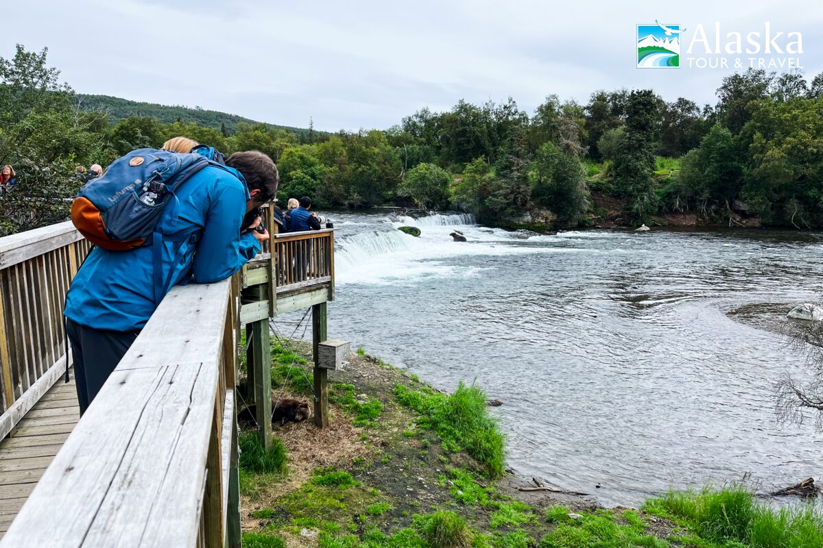 Everything You Need to Know About Bear Viewing at Brooks Falls ...