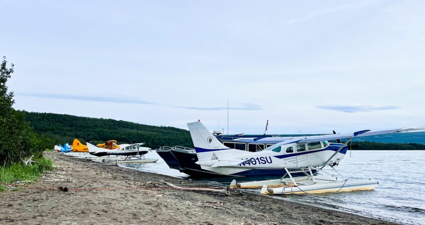 Day tour float planes parked on Naknek Lake in Katmai National Park.