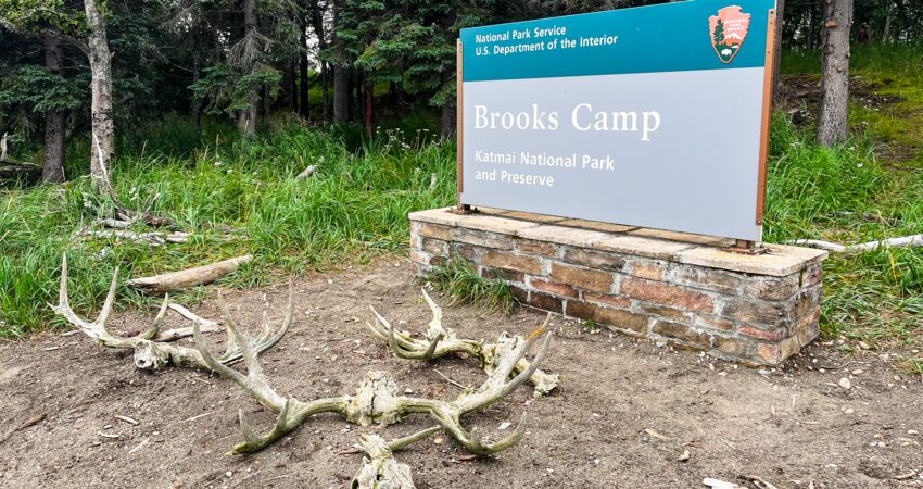 Welcome to Brooks Camp and Brooks Falls.