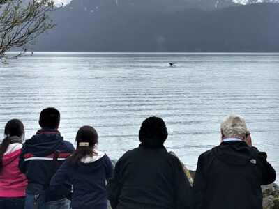 See Seward’s highlights and visit Exit Glacier in Kenai Fjords National Park on a five-hour city tour.