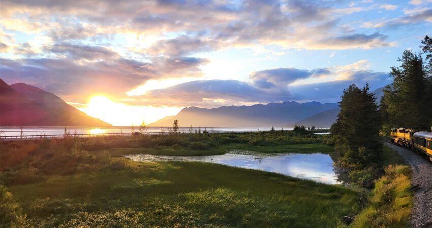 2024 Photo Contest Winner by Linea Marshall of Seward, Alaska.