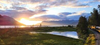 2024 Photo Contest Winner by Linea Marshall of Seward, Alaska.