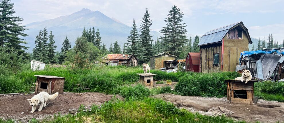 A few of the small group of year-round residents in Wiseman.