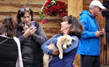 Puppy cuddles at DogGoneIt.