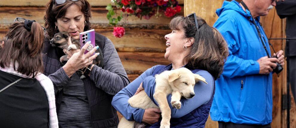 Puppy cuddles at DogGoneIt.