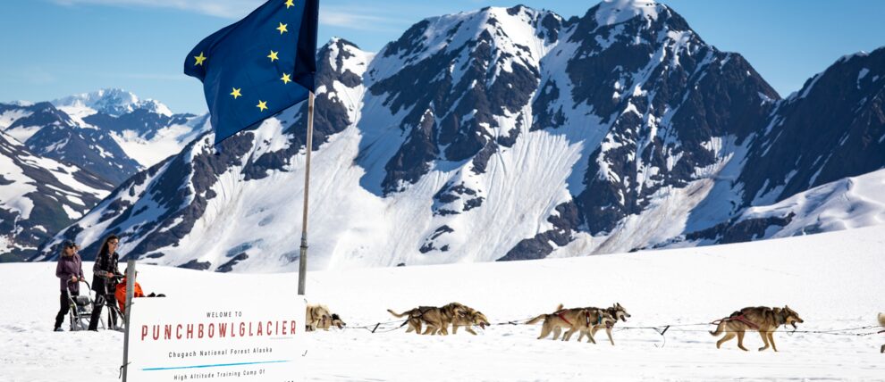 Some very good dogs running on a Girdwood glacier.