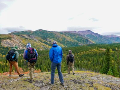 Denali area views on a guided hiking tour.